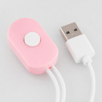 USB-Powered Dual Egg Vibrator charging and control details