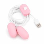 USB-Powered Dual Egg Vibrator additional feature overview