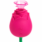 Dual-Head Rose Suction and Licking Stimulator charging and control details