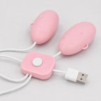 USB Dual Egg Vibrator with Pattern Options charging and control details