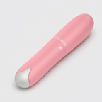 Mini Dolphin-Shaped Vibrator charging and control details