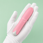 Mini Dolphin-Shaped Vibrator design and structural details