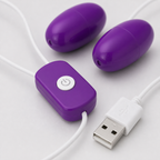 USB Dual Egg Vibrator with Licking Sleeve charging and control details