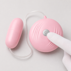 Wired Dolphin Egg Vibrator key functions overview